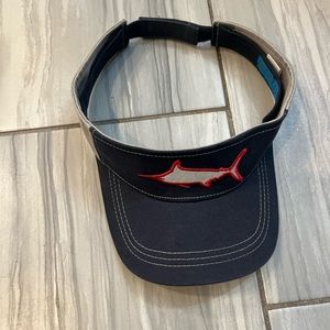 Costa visor
